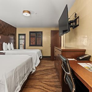 Queen Suite